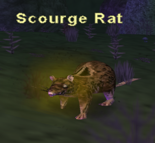 Scourge Rat