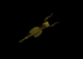 Thumbnail for version as of 06:06, 26 May 2026