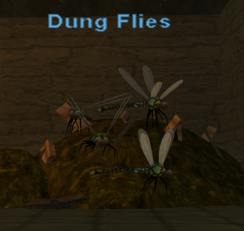 Dung Flies