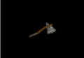 Thumbnail for version as of 06:07, 26 May 2026