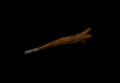 Thumbnail for version as of 06:06, 26 May 2026