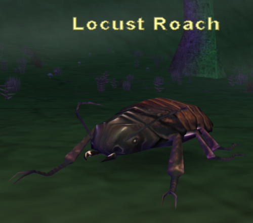 Locust Roach