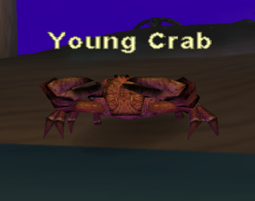 Young Crab