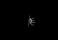 Thumbnail for version as of 06:06, 26 May 2026