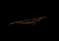 Thumbnail for version as of 06:06, 26 May 2026