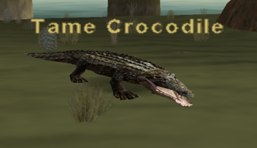 Tame Crocodile