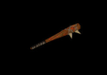 Thumbnail for version as of 06:06, 26 May 2026