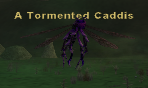A Tormented Caddis