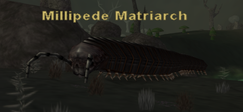 Millipede Matriarch