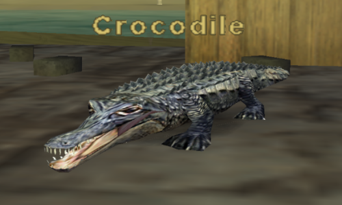 Crocodile