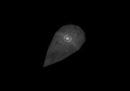Thumbnail for version as of 06:06, 26 May 2026