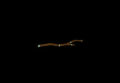 Thumbnail for version as of 06:07, 26 May 2026